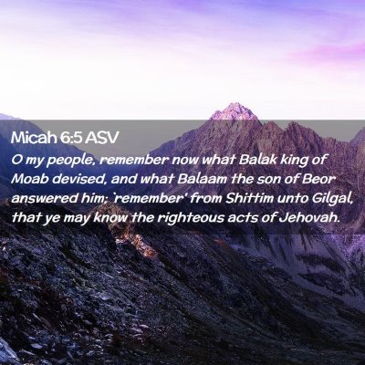 Picture 02 - Micah 6:5 ASV - O my people, remember now what Balak king of Moab - Bible Verse Picture