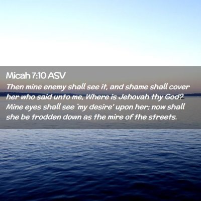 Picture 02 - Micah 7:10 ASV - Then mine enemy shall see it, and shame shall - Bible Verse Picture