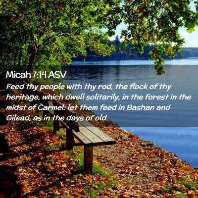 Picture 02 - Micah 7:14 ASV - Feed thy people with thy rod, the flock of thy - Bible Verse Picture
