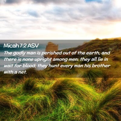 Picture 02 - Micah 7:2 ASV - The godly man is perished out of the earth, and - Bible Verse Picture