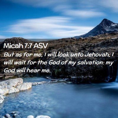 Picture 02 - Micah 7:7 ASV - But as for me, I will look unto Jehovah; I will - Bible Verse Picture