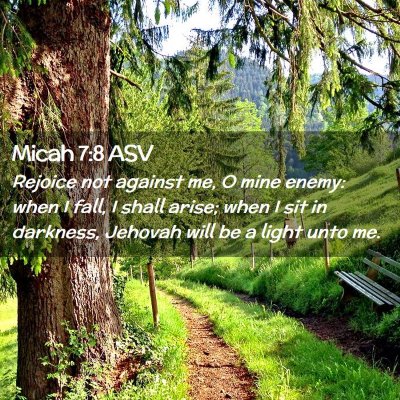 Picture 02 - Micah 7:8 ASV - Rejoice not against me, O mine enemy: when I - Bible Verse Picture