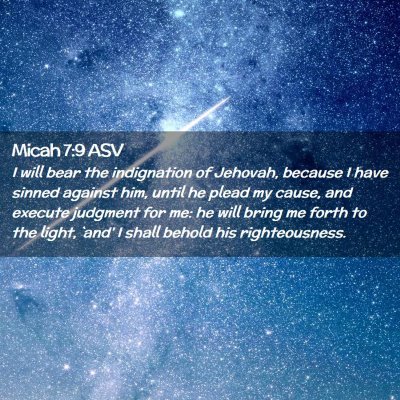 Picture 02 - Micah 7:9 ASV - I will bear the indignation of Jehovah, because I - Bible Verse Picture