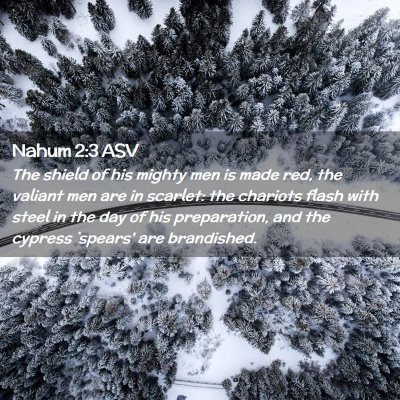 Picture 02 - Nahum 2:3 ASV - The shield of his mighty men is made red, the - Bible Verse Picture