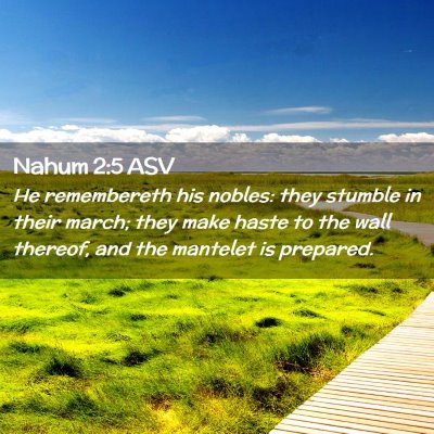 Picture 02 - Nahum 2:5 ASV - He remembereth his nobles: they stumble in their - Bible Verse Picture