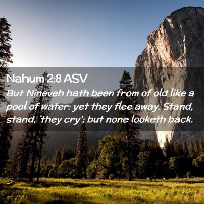 Picture 02 - Nahum 2:8 ASV - But Nineveh hath been from of old like a pool of - Bible Verse Picture