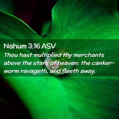 Picture 02 - Nahum 3:16 ASV - Thou hast multiplied thy merchants above the - Bible Verse Picture