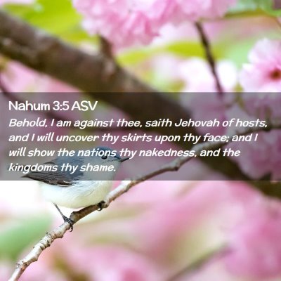 Picture 02 - Nahum 3:5 ASV - Behold, I am against thee, saith Jehovah of - Bible Verse Picture