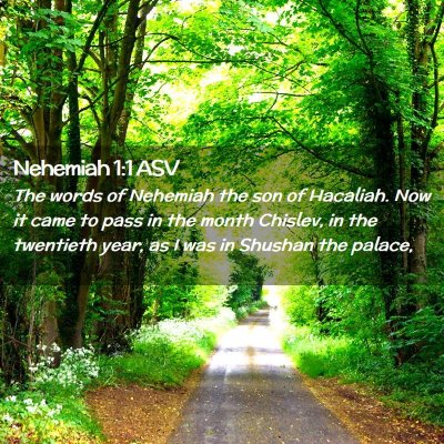Picture 02 - Nehemiah 1:1 ASV - The words of Nehemiah the son of Hacaliah. Now it - Bible Verse Picture