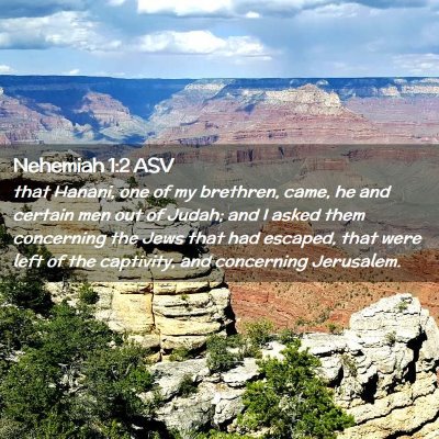 Picture 02 - Nehemiah 1:2 ASV - that Hanani, one of my brethren, came, he and - Bible Verse Picture