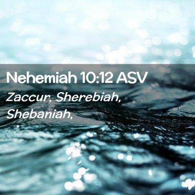 Picture 02 - Nehemiah 10:12 ASV - Zaccur, Sherebiah, - Bible Verse Picture