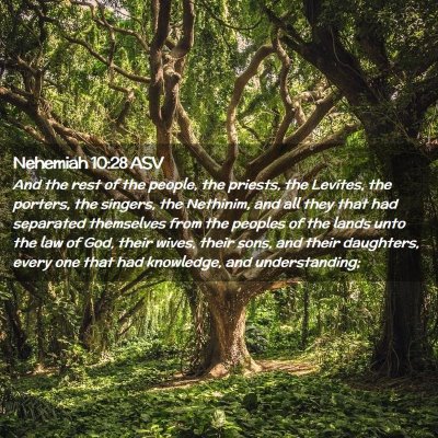 Picture 02 - Nehemiah 10:28 ASV - And the rest of the people, the priests, the - Bible Verse Picture