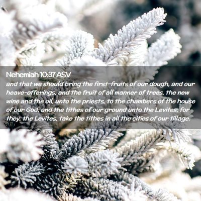 Picture 02 - Nehemiah 10:37 ASV - and that we should bring the first-fruits of our - Bible Verse Picture