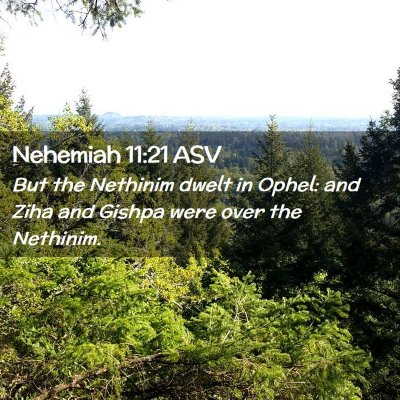 Picture 02 - Nehemiah 11:21 ASV - But the Nethinim dwelt in Ophel: and Ziha and - Bible Verse Picture