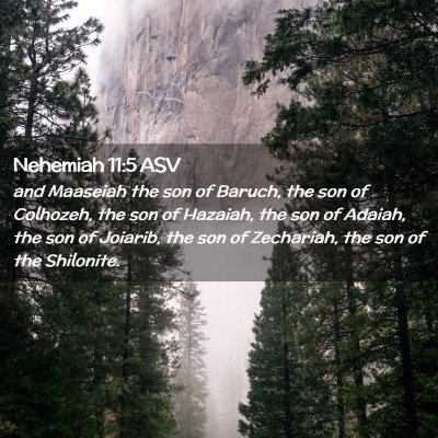 Picture 02 - Nehemiah 11:5 ASV - and Maaseiah the son of Baruch, the son of - Bible Verse Picture