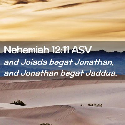 Picture 02 - Nehemiah 12:11 ASV - and Joiada begat Jonathan, and Jonathan begat - Bible Verse Picture