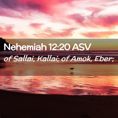 Picture 02 - Nehemiah 12:20 ASV - of Sallai, Kallai; of Amok, - Bible Verse Picture