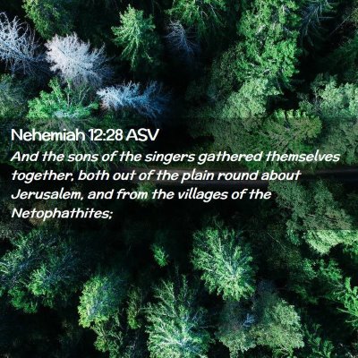 Picture 02 - Nehemiah 12:28 ASV - And the sons of the singers gathered themselves - Bible Verse Picture
