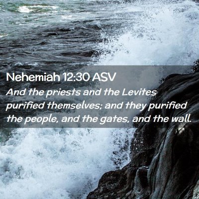 Picture 02 - Nehemiah 12:30 ASV - And the priests and the Levites purified - Bible Verse Picture