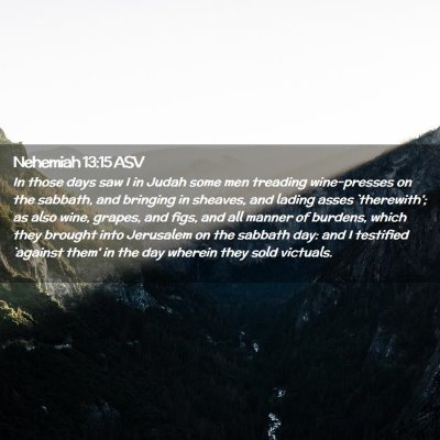 Picture 02 - Nehemiah 13:15 ASV - In those days saw I in Judah some men treading - Bible Verse Picture