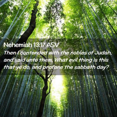 Picture 02 - Nehemiah 13:17 ASV - Then I contended with the nobles of Judah, and - Bible Verse Picture