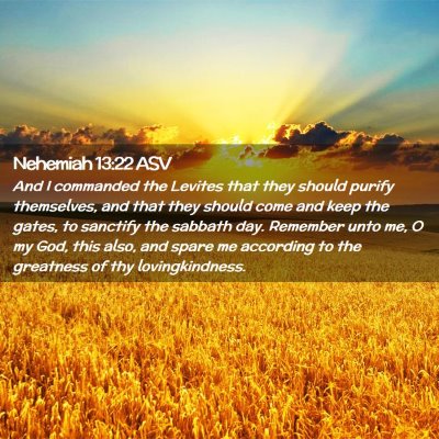 Picture 02 - Nehemiah 13:22 ASV - And I commanded the Levites that they should - Bible Verse Picture