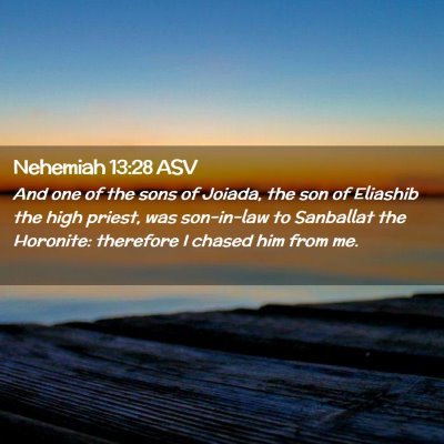 Picture 02 - Nehemiah 13:28 ASV - And one of the sons of Joiada, the son of - Bible Verse Picture