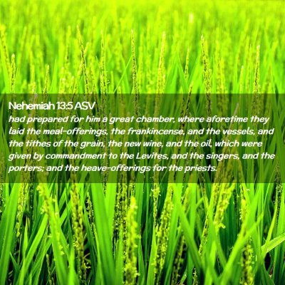 Picture 02 - Nehemiah 13:5 ASV - had prepared for him a great chamber, where - Bible Verse Picture