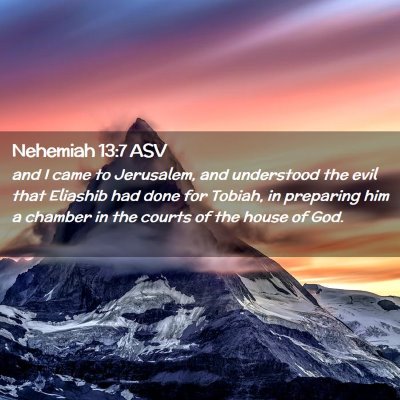 Picture 02 - Nehemiah 13:7 ASV - and I came to Jerusalem, and understood the evil - Bible Verse Picture