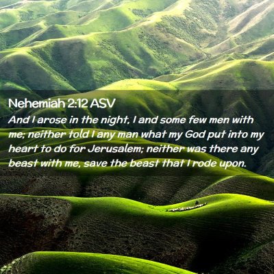 Picture 02 - Nehemiah 2:12 ASV - And I arose in the night, I and some few men with - Bible Verse Picture