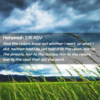 Picture 02 - Nehemiah 2:16 ASV - And the rulers knew not whither I went, or what I - Bible Verse Picture