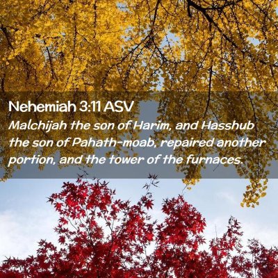 Picture 02 - Nehemiah 3:11 ASV - Malchijah the son of Harim, and Hasshub the son - Bible Verse Picture