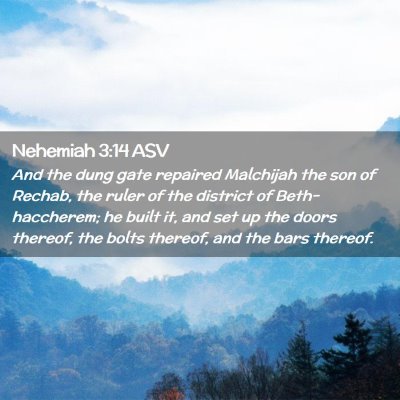 Picture 02 - Nehemiah 3:14 ASV - And the dung gate repaired Malchijah the son of - Bible Verse Picture