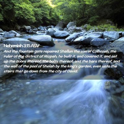 Picture 02 - Nehemiah 3:15 ASV - And the fountain gate repaired Shallun the son of - Bible Verse Picture