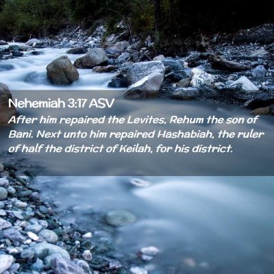 Picture 02 - Nehemiah 3:17 ASV - After him repaired the Levites, Rehum the son of - Bible Verse Picture