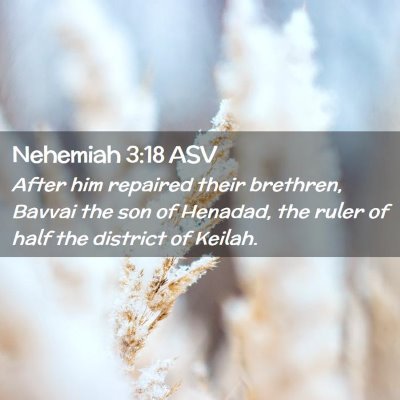 Picture 02 - Nehemiah 3:18 ASV - After him repaired their brethren, Bavvai the son - Bible Verse Picture