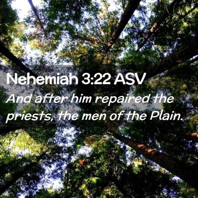 Picture 02 - Nehemiah 3:22 ASV - And after him repaired the priests, the men of - Bible Verse Picture