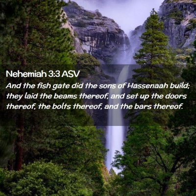 Picture 02 - Nehemiah 3:3 ASV - And the fish gate did the sons of Hassenaah - Bible Verse Picture