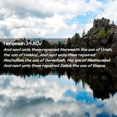 Picture 02 - Nehemiah 3:4 ASV - And next unto them repaired Meremoth the son of - Bible Verse Picture