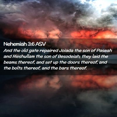 Picture 02 - Nehemiah 3:6 ASV - And the old gate repaired Joiada the son of - Bible Verse Picture
