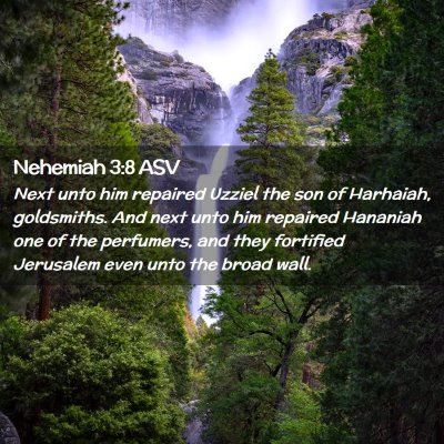 Picture 02 - Nehemiah 3:8 ASV - Next unto him repaired Uzziel the son of - Bible Verse Picture