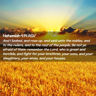 Picture 02 - Nehemiah 4:14 ASV - And I looked, and rose up, and said unto the - Bible Verse Picture