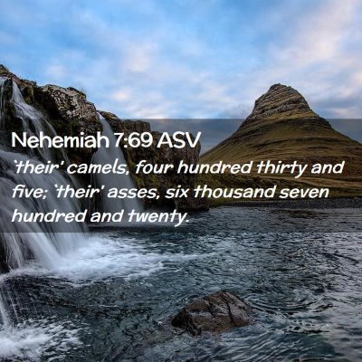 Picture 02 - Nehemiah 7:69 ASV - `their' camels, four hundred thirty and five; - Bible Verse Picture