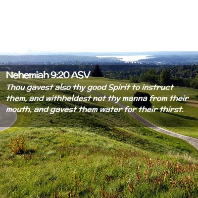 Picture 02 - Nehemiah 9:20 ASV - Thou gavest also thy good Spirit to instruct - Bible Verse Picture