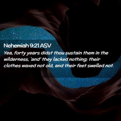 Picture 02 - Nehemiah 9:21 ASV - Yea, forty years didst thou sustain them in the - Bible Verse Picture