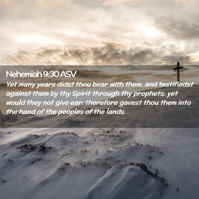 Picture 02 - Nehemiah 9:30 ASV - Yet many years didst thou bear with them, and - Bible Verse Picture