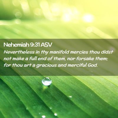 Picture 02 - Nehemiah 9:31 ASV - Nevertheless in thy manifold mercies thou didst - Bible Verse Picture
