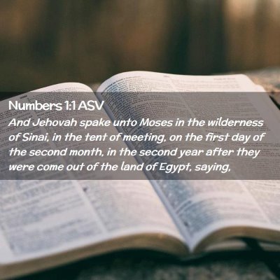 Picture 02 - Numbers 1:1 ASV - And Jehovah spake unto Moses in the wilderness of - Bible Verse Picture