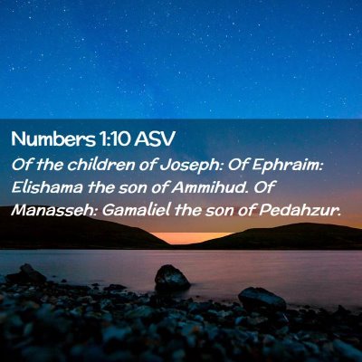 Picture 02 - Numbers 1:10 ASV - Of the children of Joseph: Of Ephraim: Elishama - Bible Verse Picture