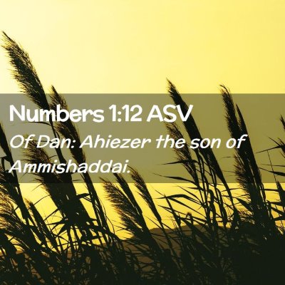 Picture 02 - Numbers 1:12 ASV - Of Dan: Ahiezer the son of - Bible Verse Picture